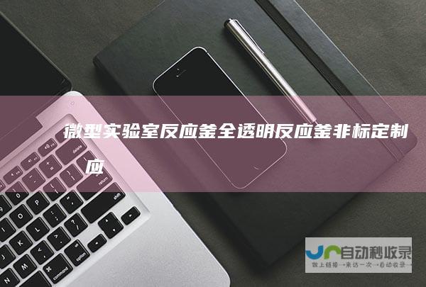 微型实验室反应釜-全透明反应釜-非标定制反应评价装置-上海贝加尔科技集团有限公司-www.baikalyq.com
