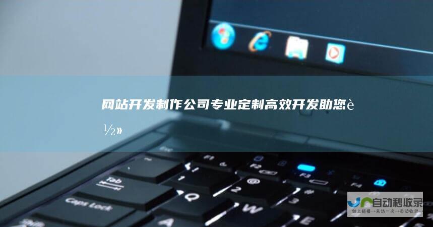网站开发制作公司：专业定制、高效开发、助您轻松上网